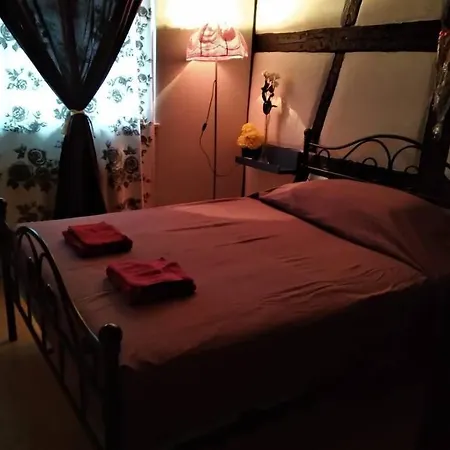 Petit Paradis 아파트 *